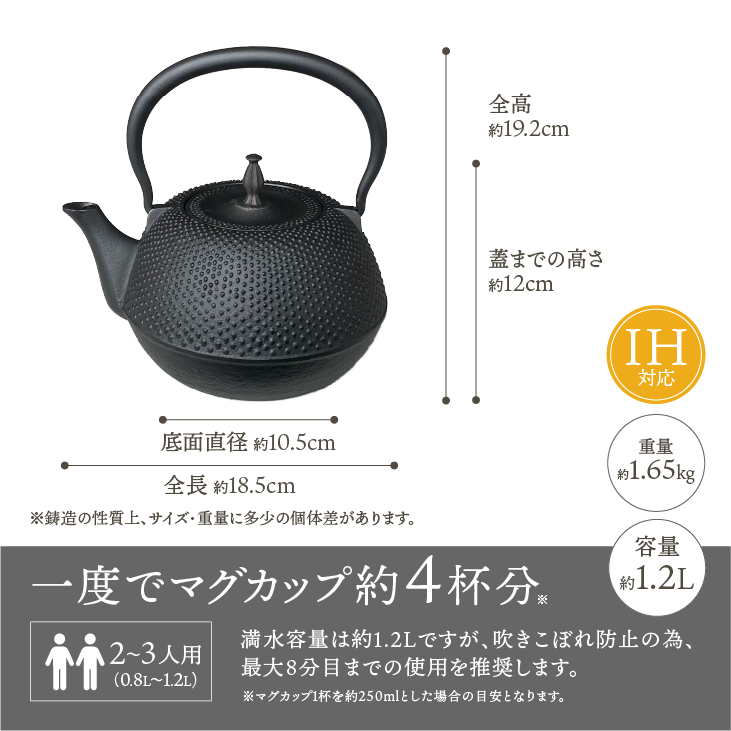 南部鉄器 鉄瓶 末広アラレ黒 1.2リットル 伝統工芸品 IH [BS047]
