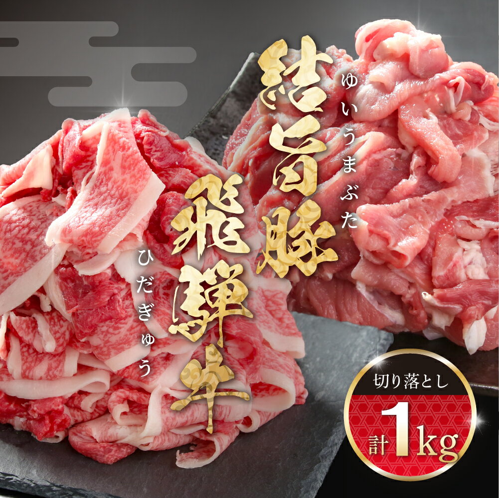 【ふるさと納税】 訳あり 飛騨牛 切落とし 500g 結旨豚 切落し 500g 冷凍真空パック | 肉 お肉 切り落とし すき焼き すきやき 黒毛和牛 和牛 人気 おすすめ 牛肉 豚肉 食べ比べ セット ギフト お取り寄せ 15000円【MS022】飛騨高山ミート