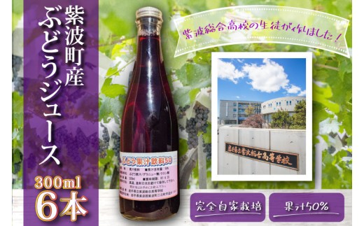 
                  ＼紫波の高校生が作りました！／紫波町産 ぶどうジュース 300ml 6本入り (EC003)
                