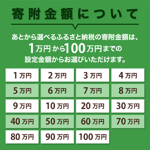あとからセレクト【ふるさとギフト】寄附500,000円　広島県呉市