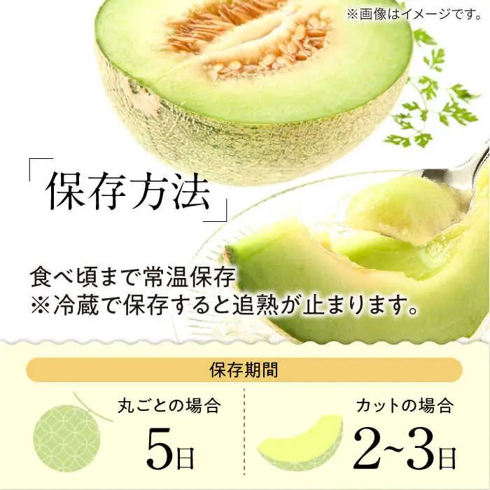 【2027年5月-発送】【さわやかな味!】訳あり タカミメロン 2箱セット（1箱 3?6玉）傷もの / メロン めろん フルーツ 果物 / 南島原市 / 南島原果物屋[SCV026]