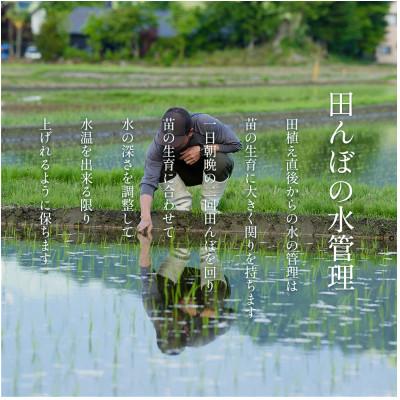 ふるさと納税 南魚沼市 【令和8年産新米予約】南魚沼食味コンクール4年連続優秀賞　塩沢地区限定米5kg |  | 01