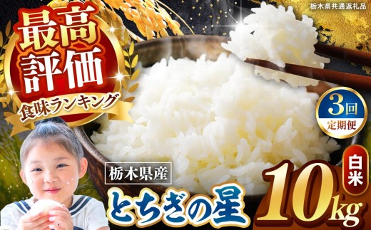 【定期便3回】栃木県産 とちぎの星 白米 10kg 2026年 先行予約 新米 | 栃木県 矢板市