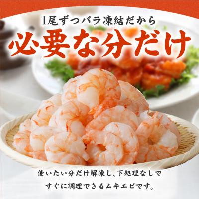 ふるさと納税 泉佐野市 【Yahoo!ふるさと納税限定】銀鮭切り身 1kg&大型ブラックタイガー 500g G3134 |  | 01