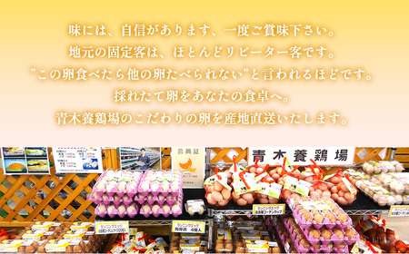 No.213 日本を代表する地鶏　名古屋コーチン卵　40個入