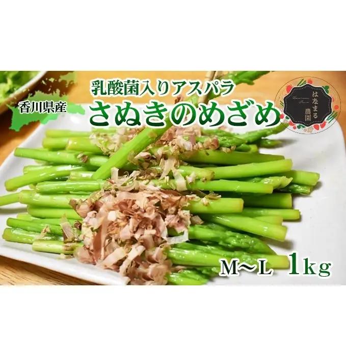 アスパラ さぬきのめざめ はなまる農園 香川県産 アスパラ【1kg M〜L】