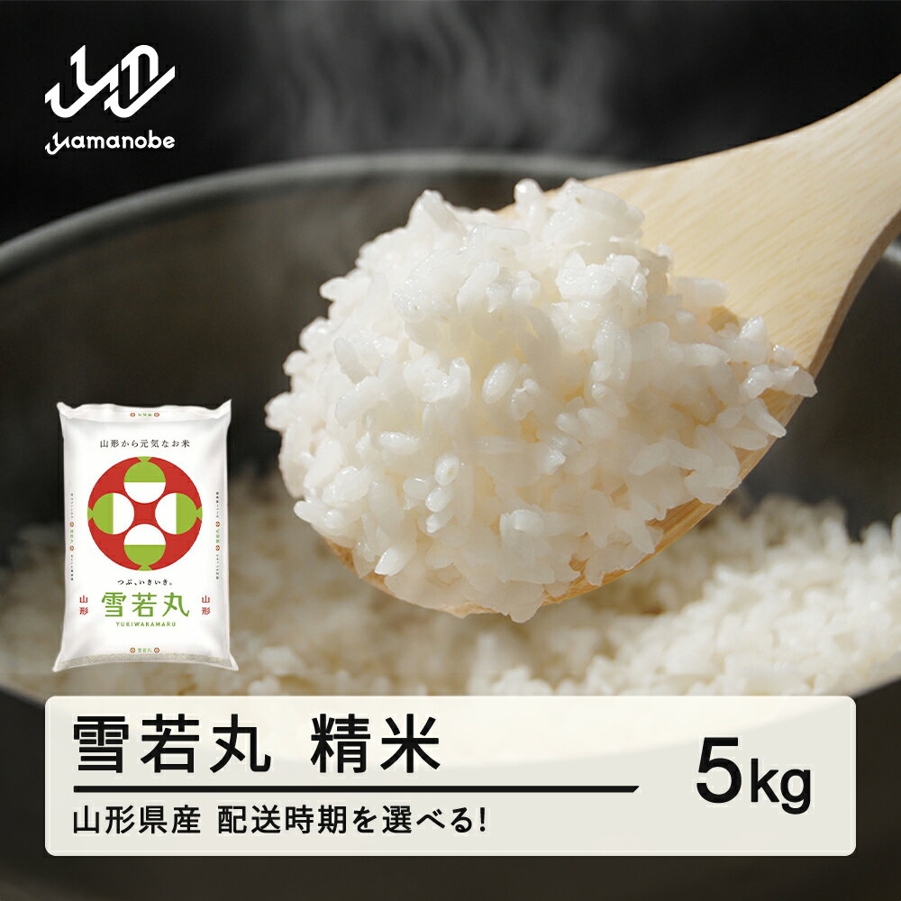 【ふるさと納税】米 雪若丸 精米 5kg 令和7年産 2025年産 山形県産 送料無料 ※沖縄・離島への配送不可 tf-ywsxb5
