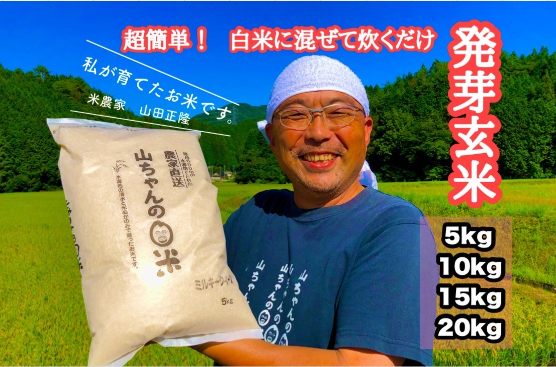 
                  農家直送『山ちゃんの発芽玄米』選べる 5kg 10kg 15kg 20kg (359)
                