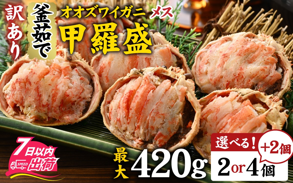 
                  選べる容量！【訳あり】釜茹で 蟹好き集まれ！オオズワイガニ（メス）甲羅盛セット [A-096035-oya] / 甲羅盛り カニ かに 蟹 オオズワイガニ むき身 茹でガニ カニボイル 茹で蟹 ボイル 茹で ズワイガニ 冷凍 かに酢 国産 カニ足 カニ脚 蟹脚 海鮮 楚蟹 蟹味噌 かに味噌
                