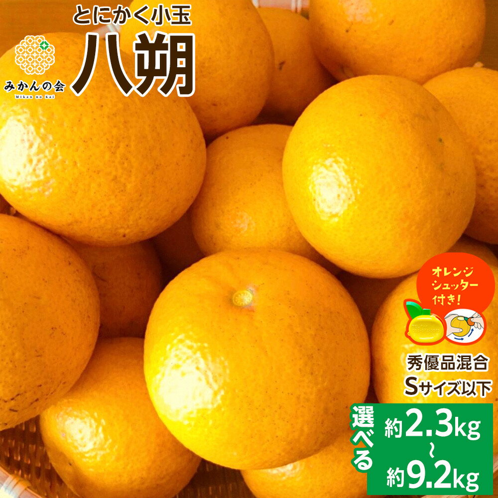 【ふるさと納税】【選べる内容量】八朔 (はっさく) とにかく 小玉 箱込 2.5kg(内容量約 2.3kg) ～10kg(内容量約 9.2kg) 秀品優品混合Sサイズ以下 | みかん 八朔 和歌山 大玉 秀 優 産地直送 和歌山県 有田川町 ふるさと納税 返礼品 故郷納税