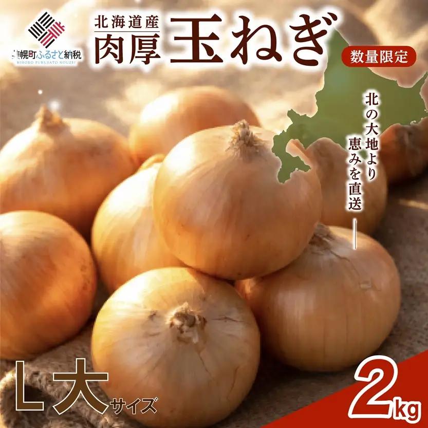 【 先行予約】玉ねぎ L大サイズ 2kg 美幌町産 たまねぎ AF