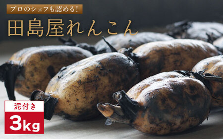 【先行予約　2026年8月以降発送】れんこん（泥付き） 3kg / れんこん [IAV001]