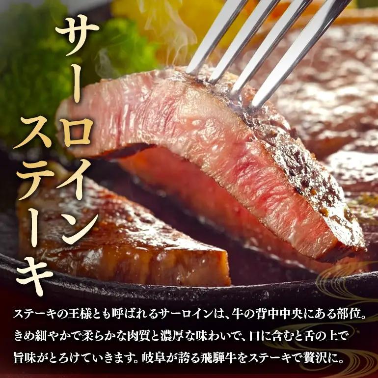 飛騨牛 A5～4等級 スペシャルセットC (A01-023)