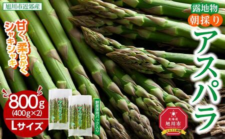 【2026年先行予約】露地物朝採りアスパラ　鮮度保持フィルム入り　Lサイズ　400g×2　合計800g(5月中旬発送開始予定) | アスパラ アスパラ アスパラ アスパラ アスパラ アスパラ _03818