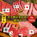 【ふるさと納税】神戸牛 お手軽おまかせ 焼肉セット 500g 牛 牛肉 お肉 肉 和牛 黒毛和牛 焼肉 焼き肉 セット キャンプ BBQ アウトドア 【 赤穂市 】　 おうち焼肉 　お届け：こちらの商品はお届けまでに1ヶ月程かかります。