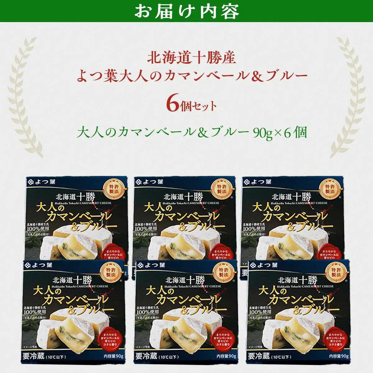北海道十勝産 よつ葉大人のカマンベール＆ブルー6個 【  チーズ 贈答  ギフト セット  送料無料 】 SKA033