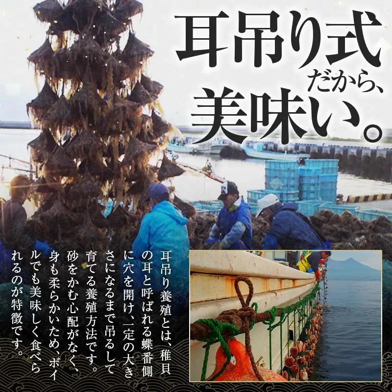 【訳あり】北海道・噴火湾産冷凍ボイルほたて（サイズ不選別品） 800g×2（1.6kg） ＜海鮮問屋　株式会社　瑞宝＞ 噴火湾 森町 ほたて 帆立 ホタテ 海産物 魚貝類 ふるさと納税 北海道 mr1