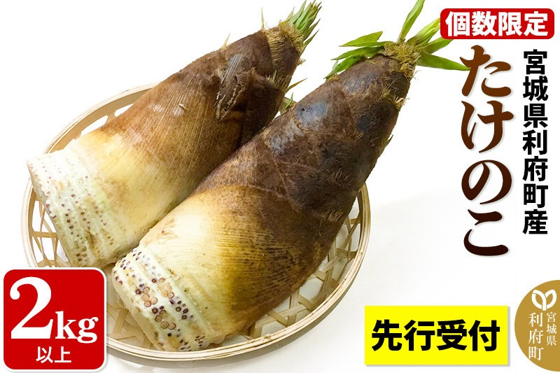 【先行受付 2026年4月以降発送】宮城県利府町産 採れたて たけのこ 皮付き2kg以上（2〜6本）筍 タケノコ 野菜 国産 新鮮 旬|06_ods-020201