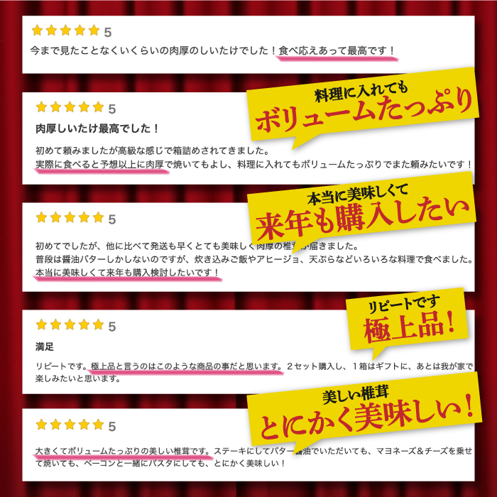肉厚 生椎茸 【優品】15枚セット / 生しいたけ 生シイタケ きのこ キノコ 茸 / 南島原市 / サンエスファーム [SBX003]_イメージ4