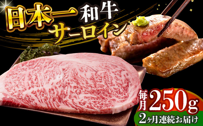 
                  【全2回定期便】【A4～A5】長崎和牛サーロインステーキ　250g（250g×1枚）【株式会社 MEAT PLUS】 [DBS081]長崎和牛 和牛 国産 牛肉  長崎和牛 サーロイン ステーキ　250g 250g 1枚2回定期便 定期便 2回 20000円 2万円 以上
                