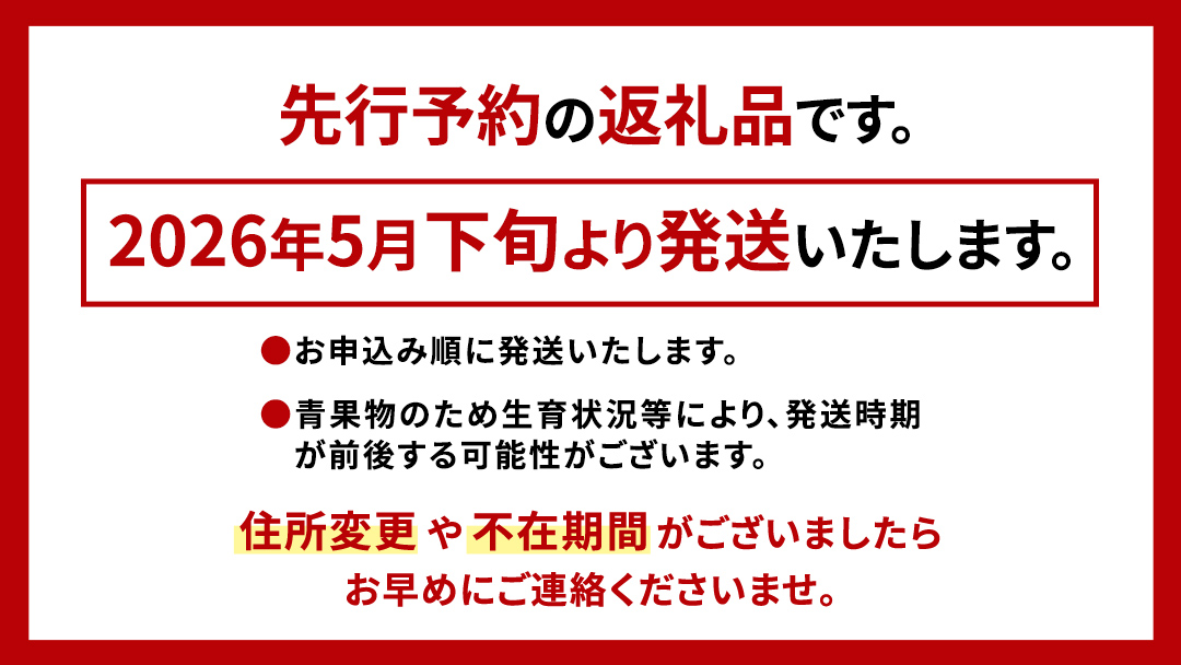 【2025年5月下旬より発送開始】 農家直送 小玉スイカ スウィートキッズ ２玉 セット 先行予約 農家直送 すいか フルーツ 旬 甘い ギフト 人気 産直 スイカ 西瓜 小玉スイカ [CQ001sa