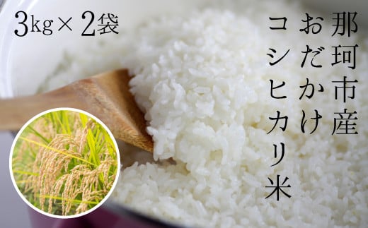 令和6年度産 那珂市産 おだかけコシヒカリ米 3kg×2袋 米 お米 白米 こめ 精米 取り寄せ 特産 ごはん ご飯 コメ お取り寄せ ギフト 贈り物 お弁当 弁当 おにぎり ふっくら ツヤツヤ 甘い 農家直送 産地直送 国産 茨城県産