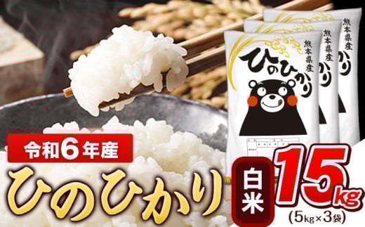 令和6年産 白米 ひのひかり 15kg《7-14日以内に出荷予定(土日祝除く)予定》令和6年産 熊本県産 ふるさと納税 白米 精米 ひの 米 こめ ふるさとのうぜい ヒノヒカリ コメ お米 おこめ