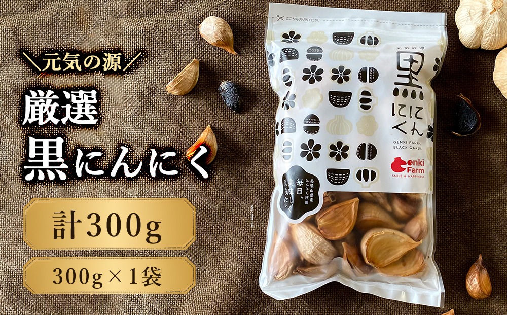 元気の源　黒にんにく　300g [No.499]
