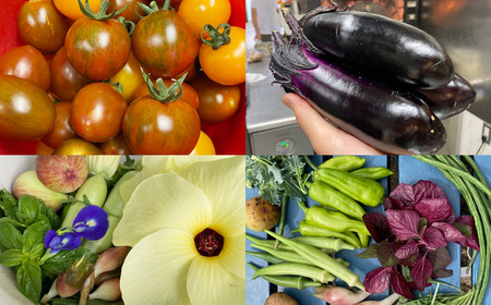 No.328 イタリア料理　acerboフルコース