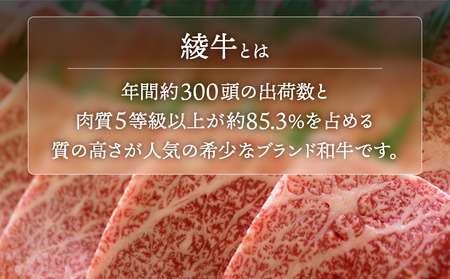 A4A5等級 黒毛和牛 霜降り 綾牛ロースステーキ（200ｇ）とろける 赤身 お肉 焼肉 BBQ_A0013-013