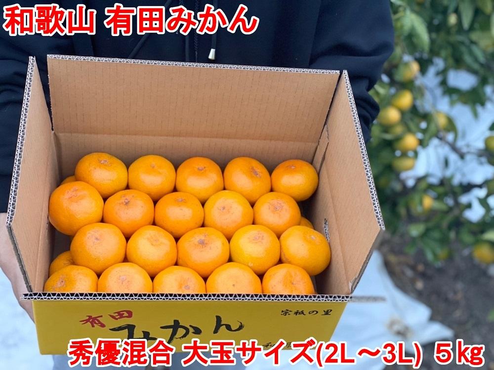 ［大玉サイズ(２Ｌ・３Ｌ）・秀／優混合］早生みかん≪5kg≫和歌山有田産！［予約販売］［数量限定］まる隆果樹園