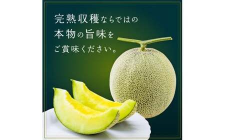 【2026年8月～発送】 アールスメロン 1個 約1.5kg～2kg マスクメロン