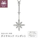 【ふるさと納税】 ペンダント ネックレス ダイヤモンド ジュエリー アクセサリー レディース 0.4ct PT900 PT850 プラチナ 縦長 普段使い ギフト プレゼント ジュエリーケース付 鑑別書付 保証書付 k120-061