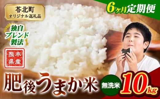 【6か月定期便】米 無洗米 熊本県産 肥後うまか米 10kg 精米 こめ  コメ お米 おこめ ブレンド米《申込月の翌月から出荷開始》熊本県産  コメ お米 おこめ