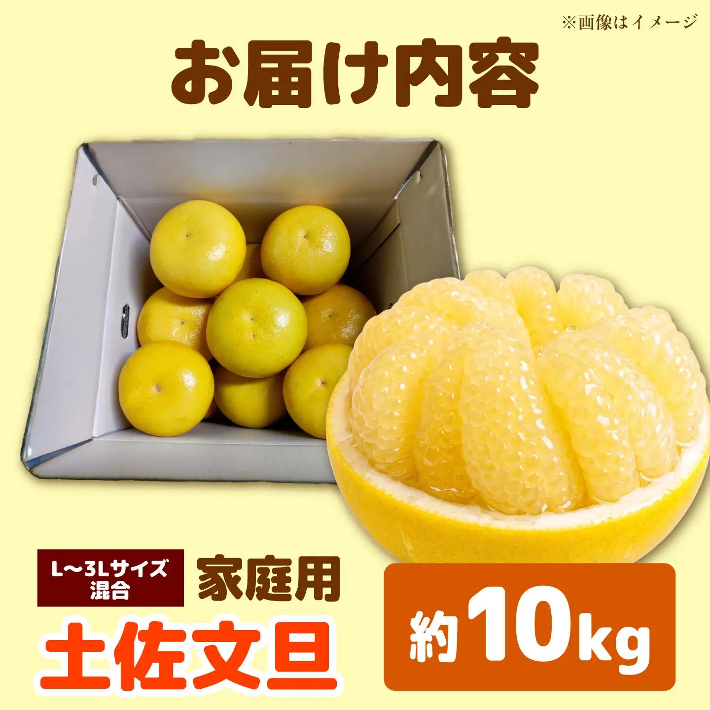 【先行予約】土佐文旦 家庭用 約10kg （L-3Lサイズ混合：17-24玉入り） 文旦 ぶんたん ブンタン 柑橘 フルーツ デザート 果物 ご当地 人気 名産＜2027年1月下旬から順次発送＞【玉木