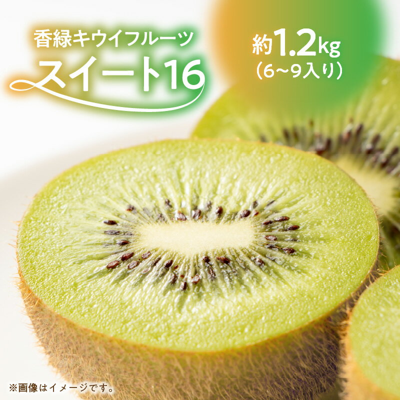 【ふるさと納税】香緑キウイ 期間限定 キウイ 約 1.2kg 認定品 最上級品 スイート16 キウイフルーツ 1箱 三豊市 お取り寄せ お取り寄せフルーツ 食品 食べ物 果物 フルーツ デザート おやつ 朝食 国産 香川産 送料無料 秋 旬　造田商店