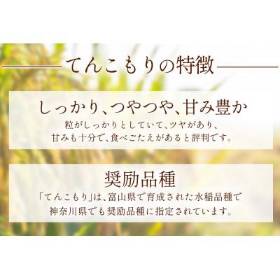 ふるさと納税 伊勢原市 【毎月定期便】合計60kg 精米 てんこもり10kg 加藤さんちのうんめぇ米全6回 |  | 01
