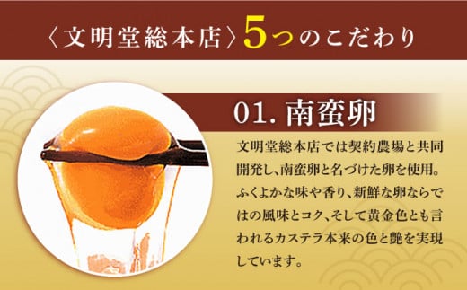 【王道の大人気】【6回定期便】長崎 カステラ 1号 ＜文明堂総本店＞ [CFG007]