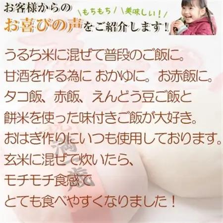 もち米10kg　千葉県産ヒメノモチ白米(5kg×2袋) お餅やお赤飯に【1012796】