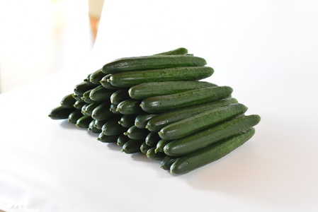 ＜【3ヵ月定期便】【期間限定】宮崎県産きゅうり(約2kg)×3回＞(3本入り×5袋)×3回)パリッと甘い魔法のキュウリ「マジキュー」漬物や天ぷらに！【MI201-yt】【ゆたか農園】