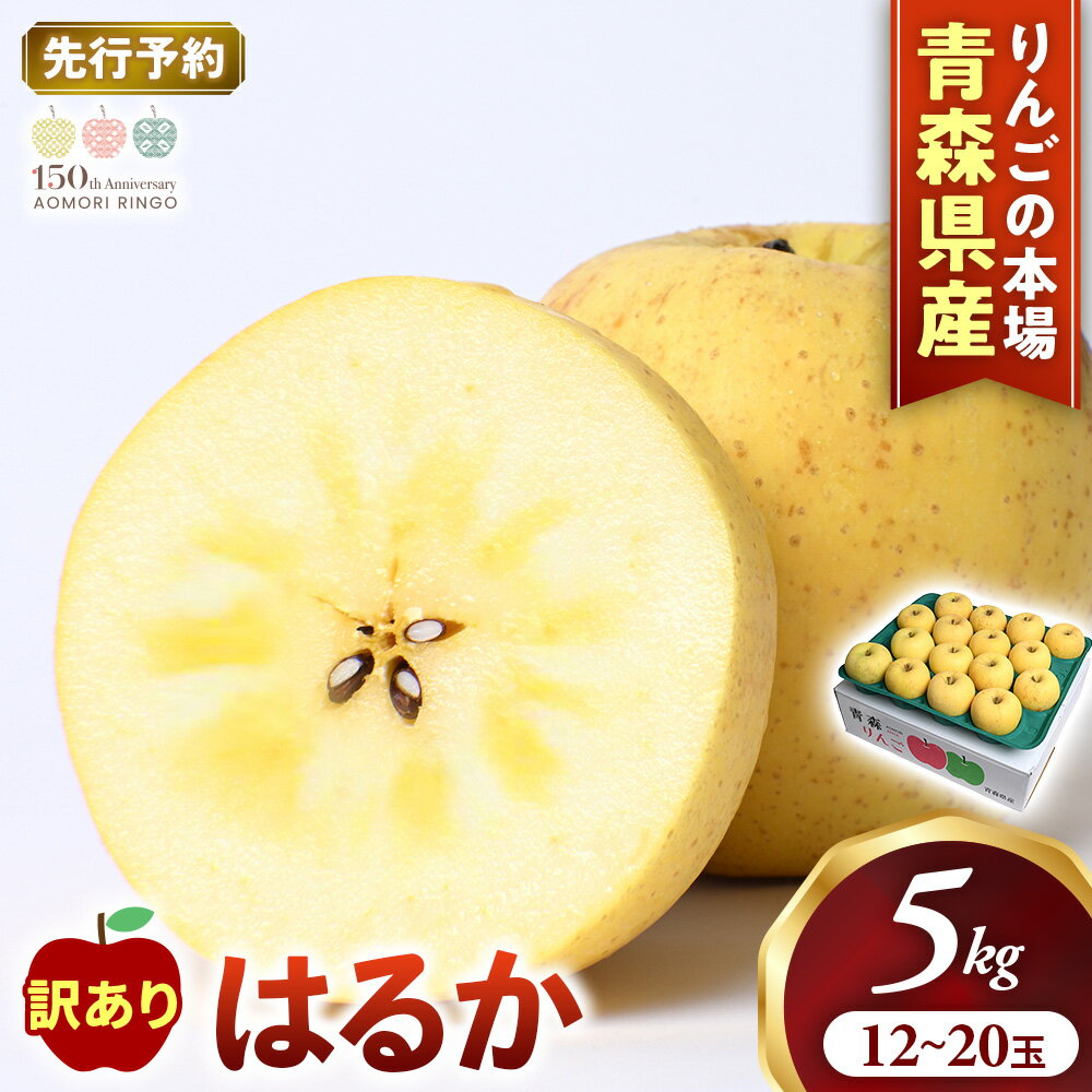 【ふるさと納税】【先行予約】高級りんご 訳あり はるか 約5kg 12〜20玉【2026年産 | 2026年12月上旬〜2027年1月中旬頃まで発送予定】りんご 林檎 リンゴ 訳あり はるか 国産 フルーツ 果物 希少 青森県 三戸町