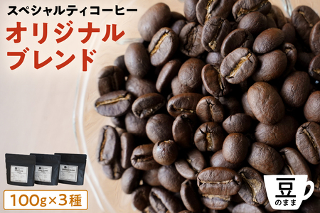 [豆のまま]スペシャルティコーヒー オリジナルブレンド 100g×3種 【kt054-003-1】 ｺｰﾋｰ