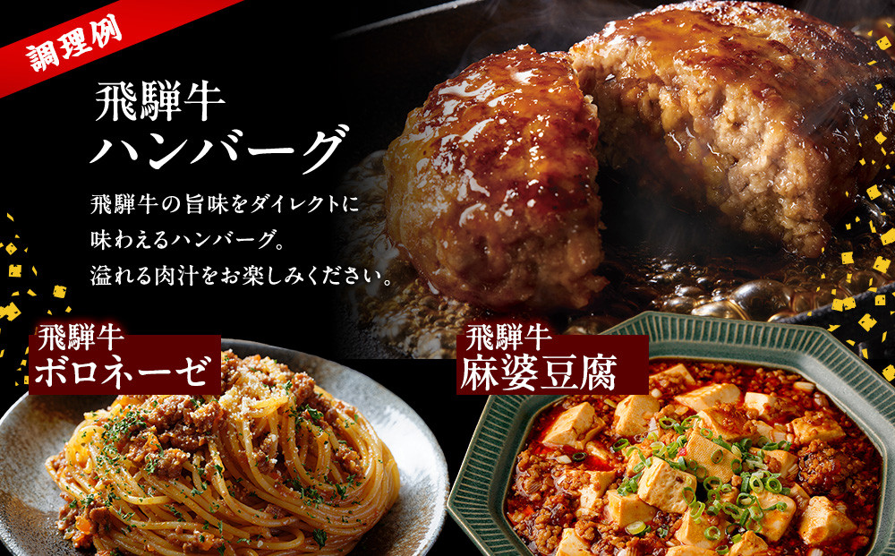 飛騨牛ミンチ500g | 人気 おすすめ ギフト ご褒美 ミンチ 飛騨牛 牛 ハンバーグ ジューシー お肉 冷凍 お取り寄せ 飛騨高山ミート MZ039