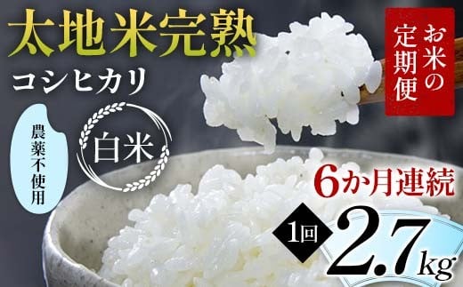 
                  【先行予約】お米の定期便 農薬不使用米 太地米完熟 【こしひかり】 白米2.7kg×6か月連続 ブランド米 お米 精米 白米 人気 F7X-0725
                