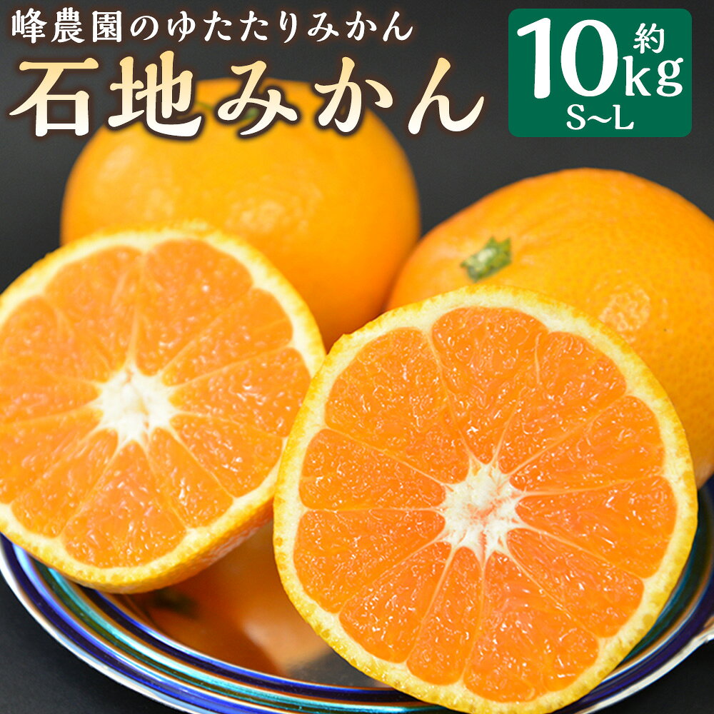 【ふるさと納税】峰農園のゆたたりみかん【石地みかん】10kg フルーツ 果物 くだもの 柑橘 みかん 佐賀県 太良町 NB14x1 【2026年12月上旬-2027年1月下旬発送予定】