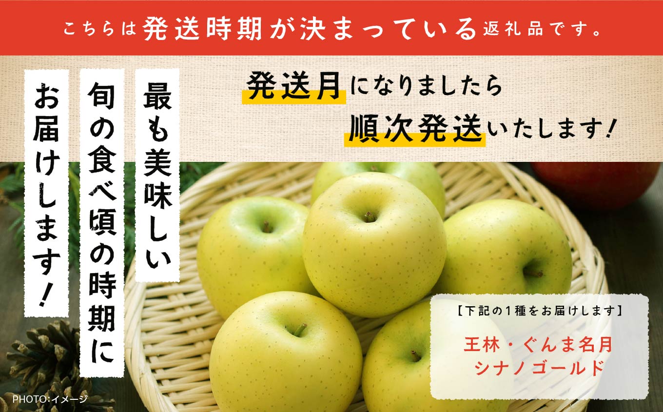 《2025年11月中旬以降発送》羽山りんご 品種おまかせ(中早生)5kg 【羽山果樹組合】