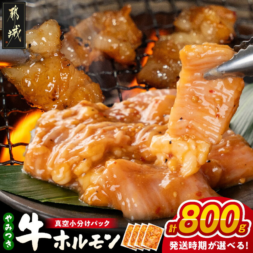 【ふるさと納税】【発送時期が選べる！】やみつき牛ホルモン800g！(真空小分け) - 味付きホルモン 200g×4P 真空 小分け ホルモン 味付き 焼くだけ 特急便もあり 冷凍 お届け時期が選べる 送料無料 LG8-3307【宮崎県都城市は2年連続ふるさと納税日本一！】