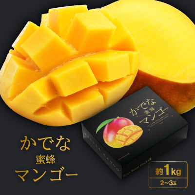2026年発送【かでな蜜蜂マンゴー】約1kg(2～3玉)【配送不可地域：離島】