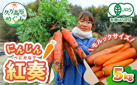 【産地直送】【先行予約】モルックサイズ！？ 特大にんじん（紅奏）5kg ｜ 人参 ニンジン ニンジンジュース  高原野菜 久万高原町 ※2026年12月上旬～2027年2月上旬頃に順次発送予定
