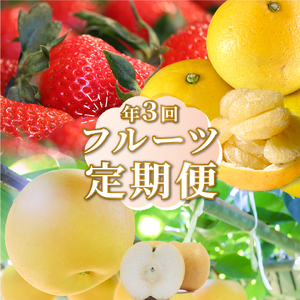 【ふるさと納税】【2025年さかわの梨から発送】＜フルーツ 定期便（全３回）＞ いちご 土佐文旦 梨 fruit 苺 おすすめ フレッシュ 旬 果物 くだもの 高知県 佐川町産【常温】【冷蔵】